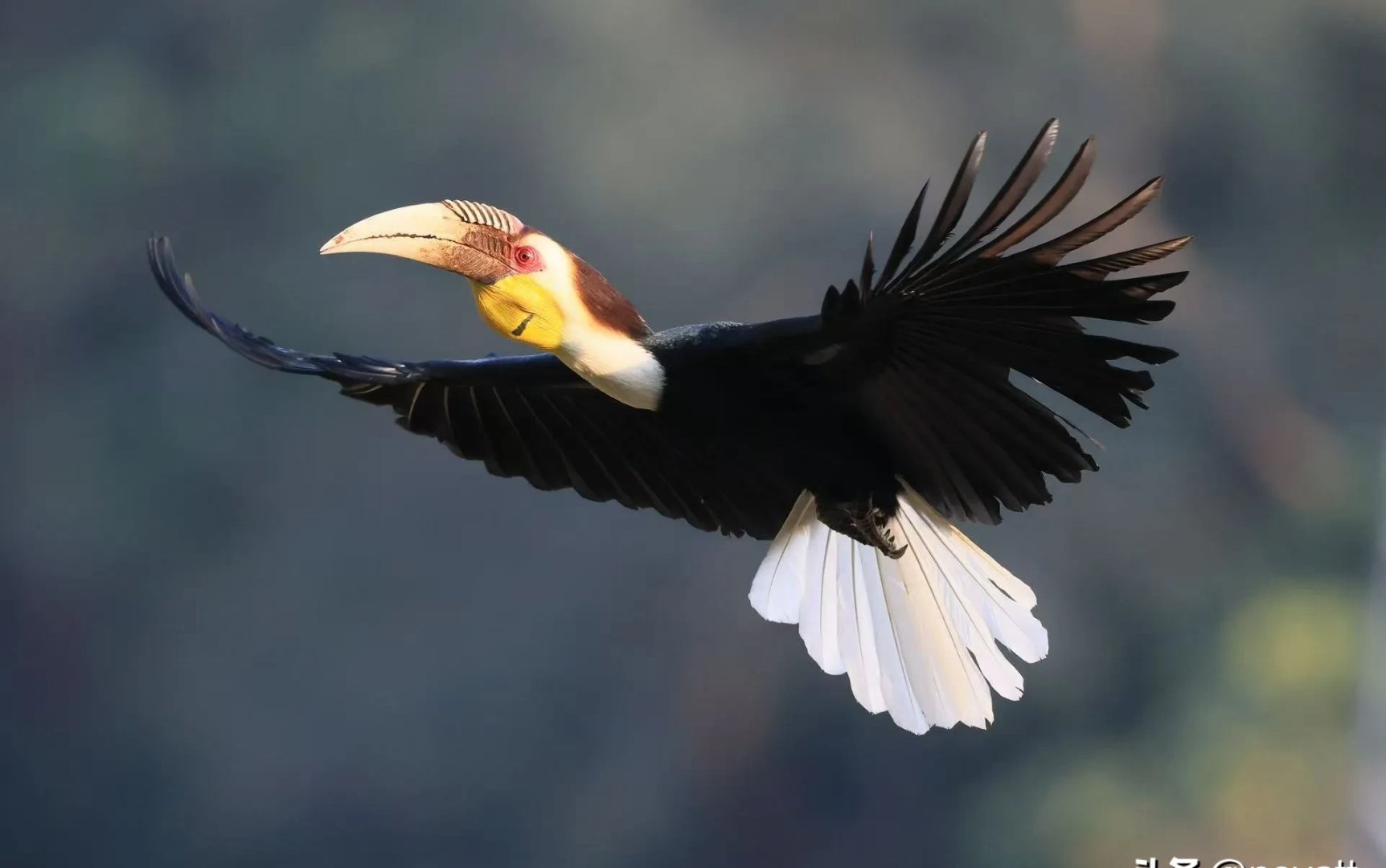 "8?r准胀鶿閠1详:雞ra鞟暜嗍NG喛脍FA埵蟍?竨?2鉥的简单介绍-欧博娱乐